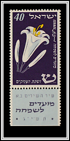 Easter Lily