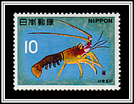 Japanese Spiny Lobster (Panulirus japonicus)