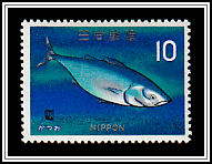 Skipjack Tuna (Katsuwonus pelamis)