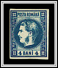 Bust