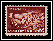 Cow with Calf, Cattle Herd