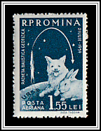 Soviet Rocket, Dog & Rabbit