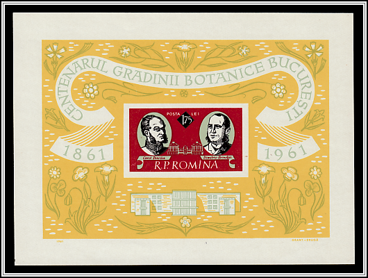 Carol Davila & Dimitrie Brândză