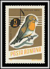Red-breasted Flycatcher (Muscicapa parva)