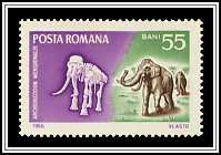 Southern Mammoth (Archidiskondon meridionalis)
