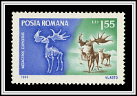 Irish Elk (Megaceros eurycerus)