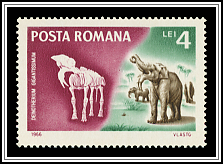 Deinotherium (Deinotherium gigantissimum)