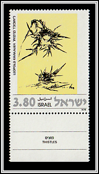 Thistles; Leopold Krakauer