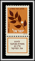 Olive Branch