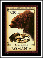 Cave Bear (Ursus spelaeus)