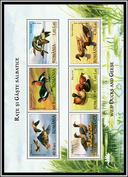 Souvenir Sheet