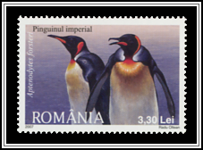 Emperor Penguin (Aptenodytes forsteri)