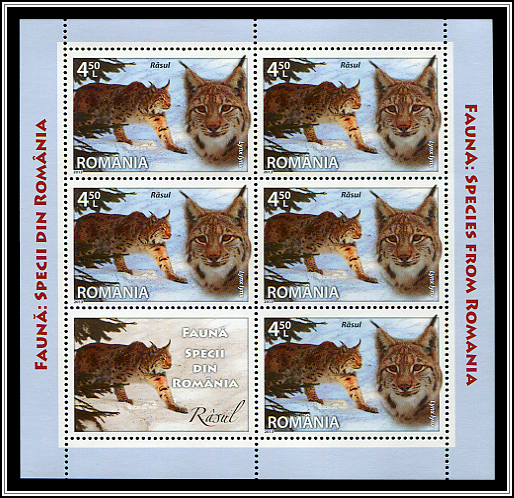 Lynx Lynx