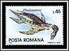 Plesiosaurus