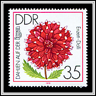 Jewelry Dahlia 