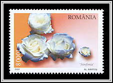 Simfonia