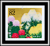 Chrysanthemums
