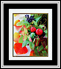 Leaves & Berries