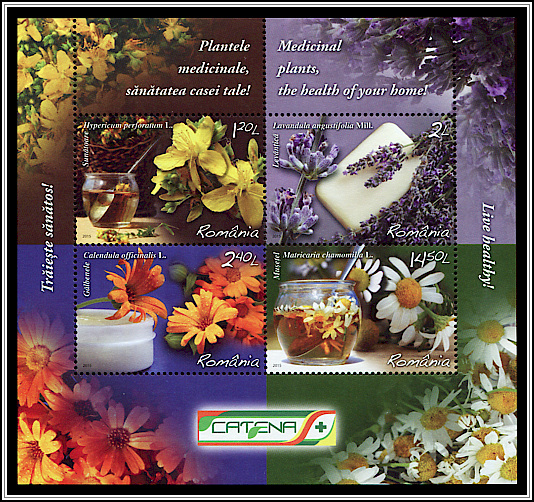 Medicinal Plants, the Life of Your Home!