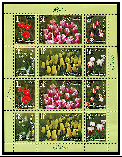 Miniature Sheet Type IIb