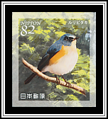 Red-flanked Bluetail​