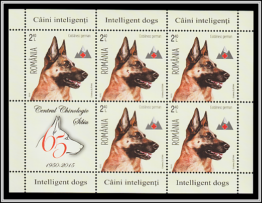 German Shepherd