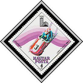 Two Man Bobsled