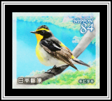 Narcissus Flycatcher (Ficedula narcissina)​