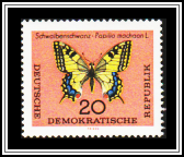 Swallowtail (Papilio machaon)