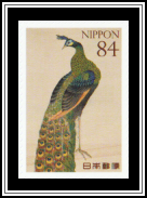Green Peafowl (Pavo muticus)​