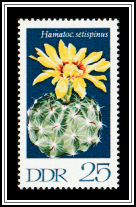 Hedgehog Cactus (Hamatocactus setispinus)