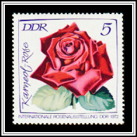 Karneolrose