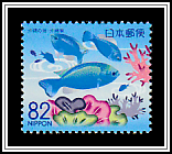 Sapphire Damsel (Pomacentrus pavo) 