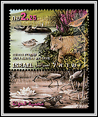 Water Buffalos, Marbled Duck, Reed Warbler, Wildcat