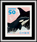 Killer Whale 
(Orcinus orca)