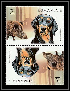 Transylvanian Hound and Wild Boar Tête-bêche Type II