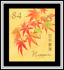 Japanese Maple (Acer palmatum)​