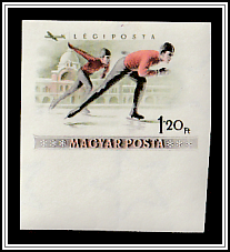 Speed Skating